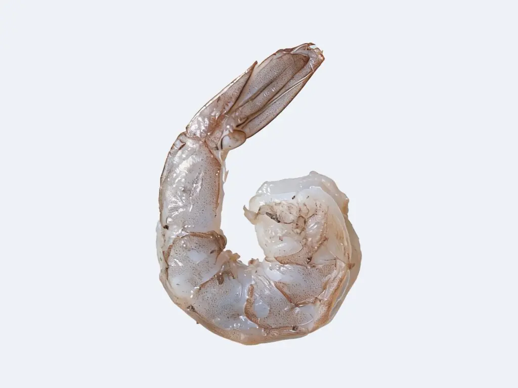 Shrimp
