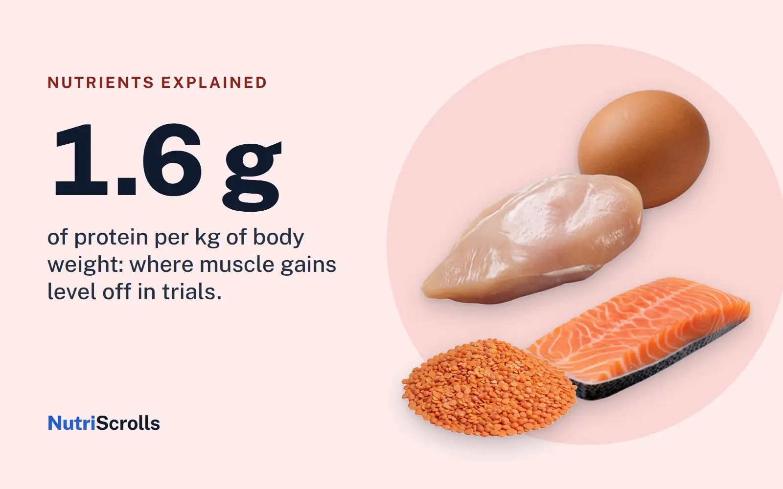 Eggs, chicken breast, salmon and lentils next to 1.6 g of protein per kg